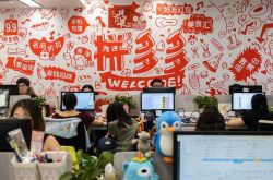 8分钟教程!济宁公司查询_哔哩哔哩-2